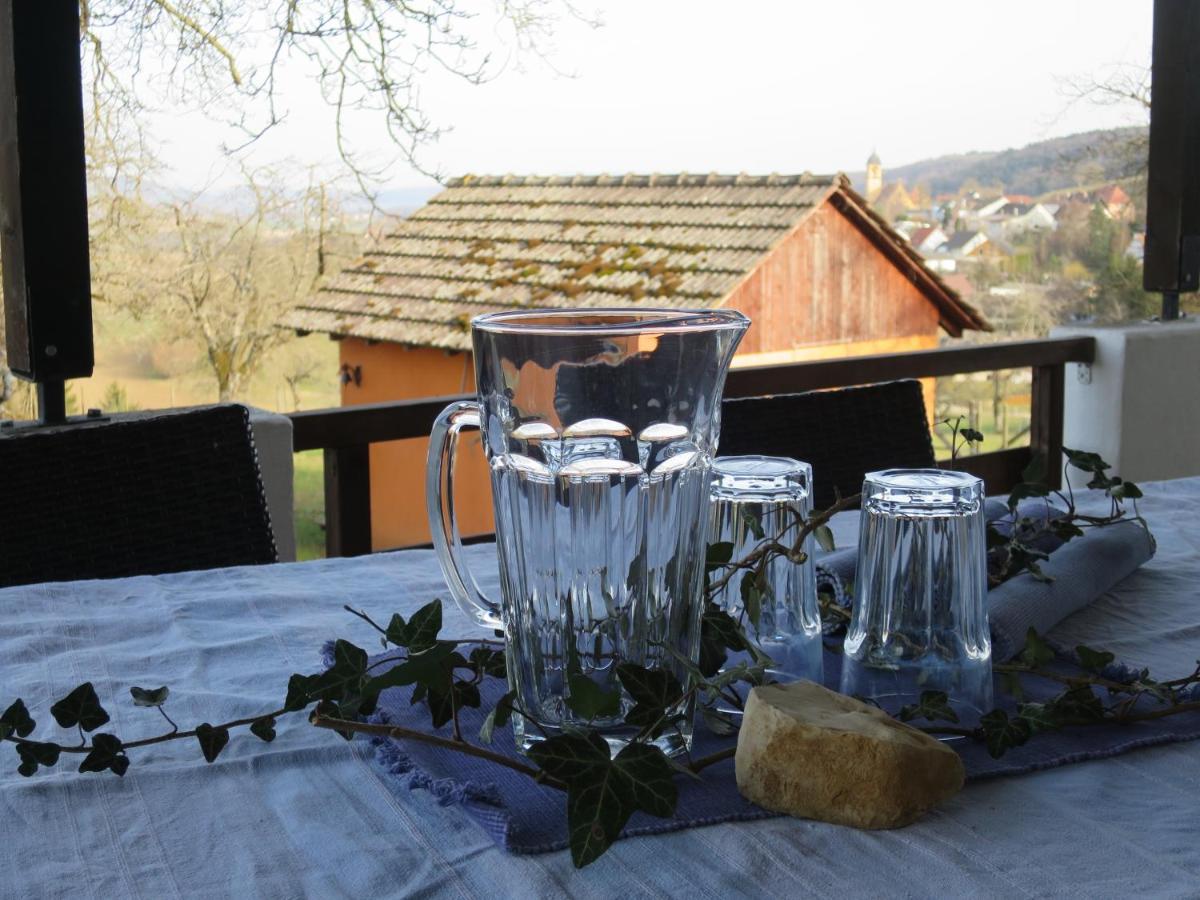 Alpaka-Ferien Apartment Wiechs am Randen ภายนอก รูปภาพ